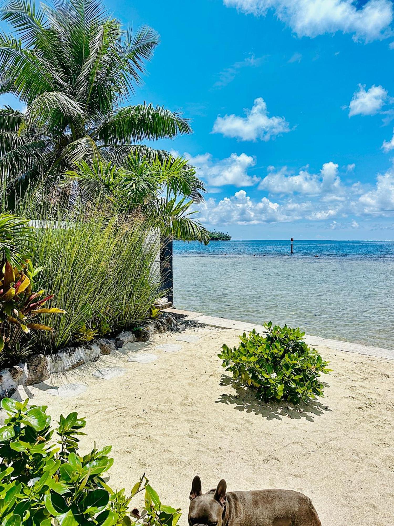 Pension Irivai, Appartement Rava 1 Chambre Bord De Mer Uturoa Ngoại thất bức ảnh