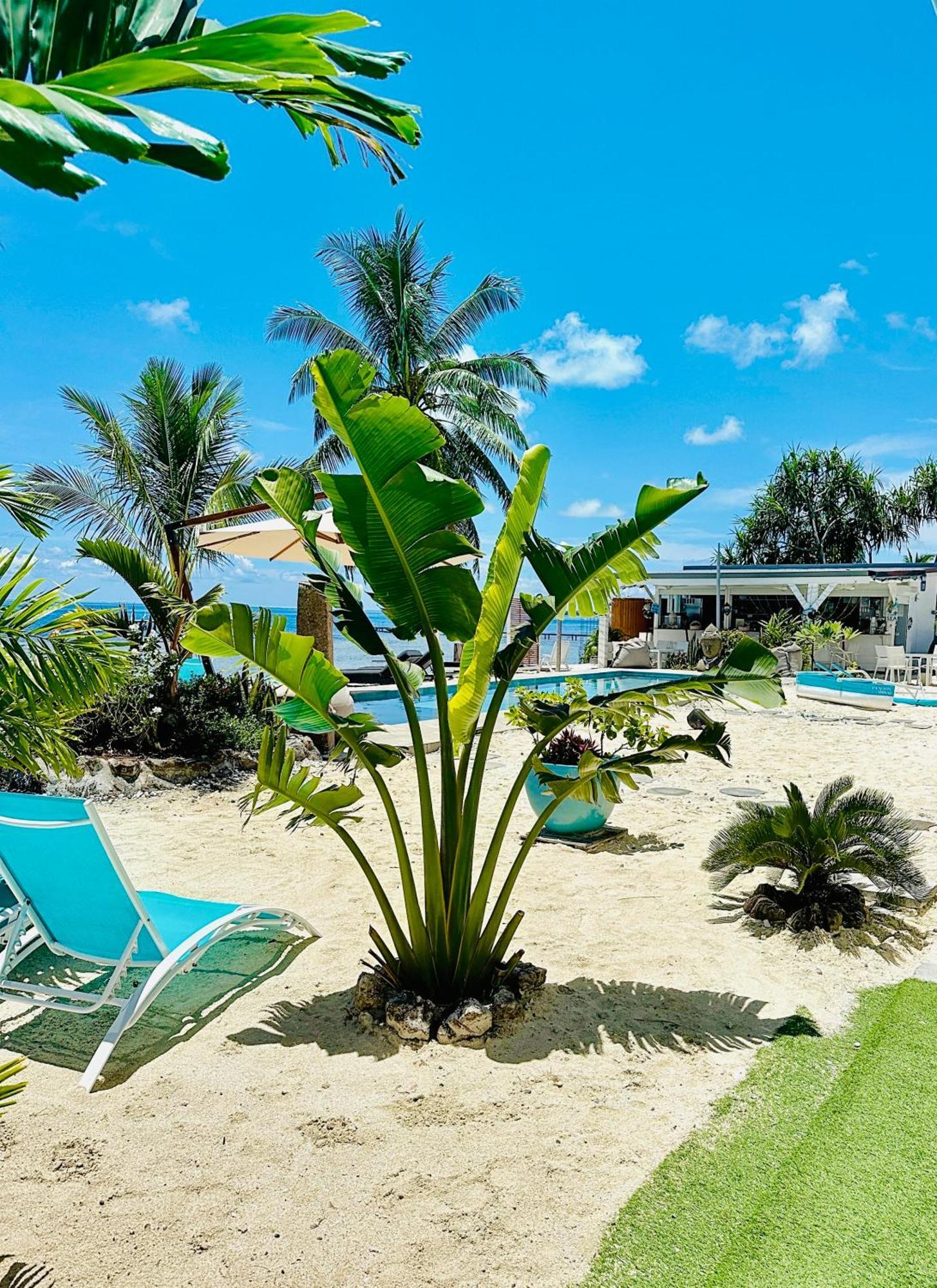 Pension Irivai, Appartement Rava 1 Chambre Bord De Mer Uturoa Ngoại thất bức ảnh